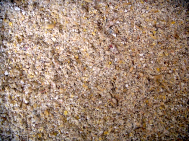 Kälberstarter grob