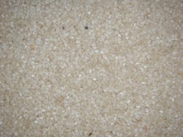 Sesam_gesch__lt_4a40f0c3c7c3a.jpg